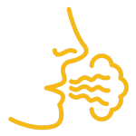 Tratar el Mal aliento o sabor en Osorno